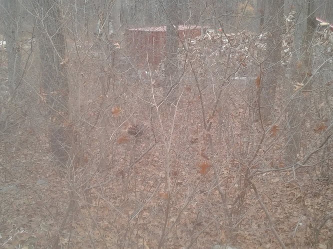 Dreamscapes Watergardens