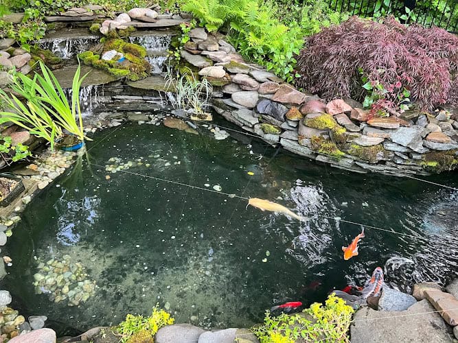 Pond Scapes Inc